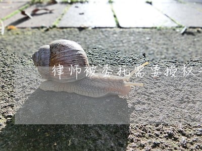 律师被委托需要授权书吗 律师被委托需要授权书吗