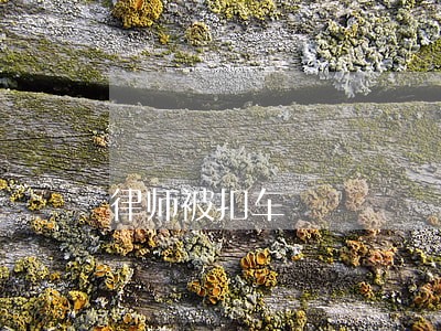 律师被扣车