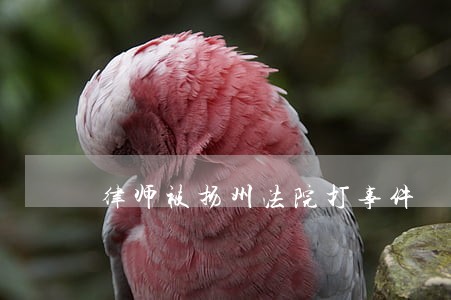 律师被扬州法院打事件