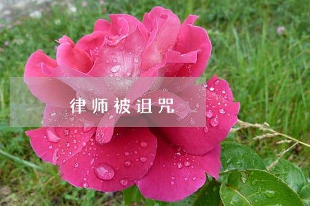 律师被诅咒 律师被诅咒