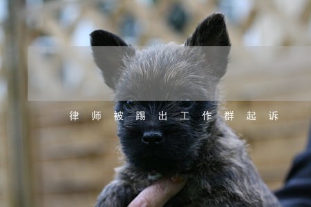 律师被踢出工作群起诉 律师被踢出工作群起诉
