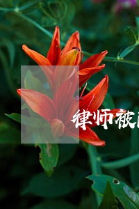 律师被酷刑 律师被酷刑