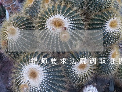 律师要求法院调取证据 律师要求法院调取证据