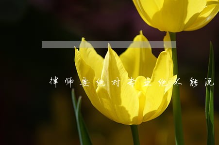 律师要绝对专业绝不能说话调皮 律师要绝对专业绝不能说话调皮