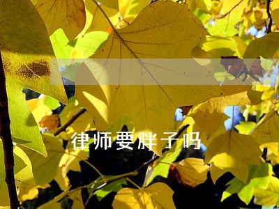 律师要胖子吗 律师要胖子吗