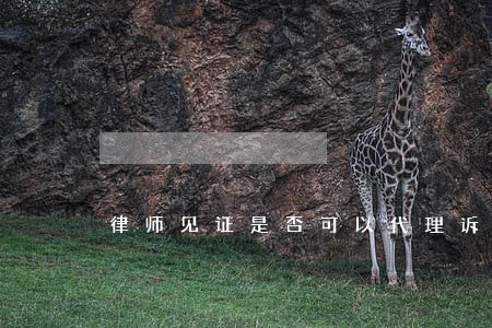 律师见证是否可以代理诉讼
