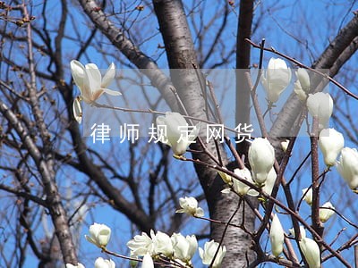 律师规定网货 律师规定网货