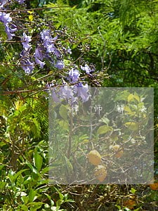 律师解决债务问题 律师解决债务问题