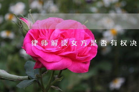律师解读女方是否有权决定生育