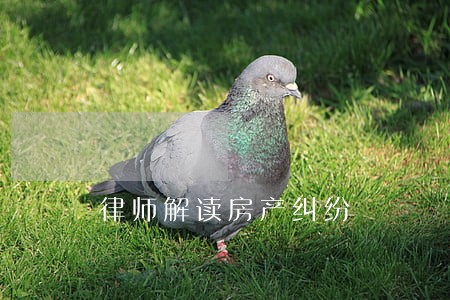 律师解读房产纠纷 律师解读房产纠纷