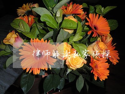 律师解读私家侦探 律师解读私家侦探