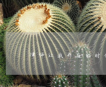 律师让我开庭的时候认罪 律师让我开庭的时候认罪