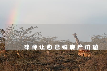 律师让自己报房产价值 律师让自己报房产价值