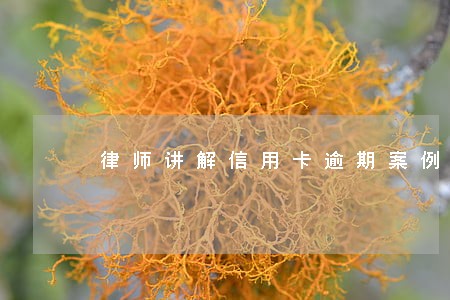 律师讲解信用卡逾期案例 律师讲解信用卡逾期案例