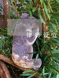 律师设立基金业务备忘录 律师设立基金业务备忘录