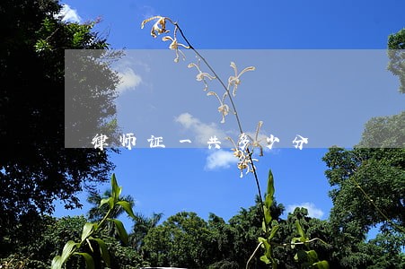律师证一共多少分 律师证一共多少分