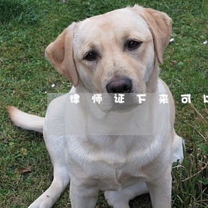 律师证下来可以开律所吗