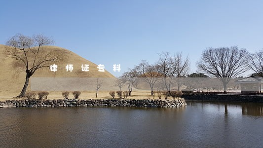 律师证专科