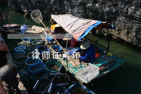 律师证两年