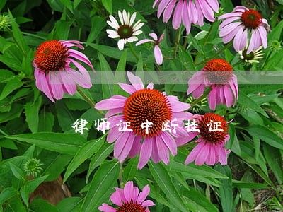 律师证中断挂证 律师证中断挂证