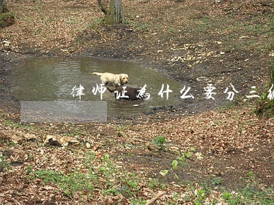 律师证为什么要分三级 律师证为什么要分三级