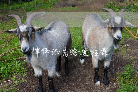 律师证为啥要挂靠 律师证为啥要挂靠