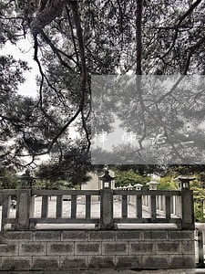 律师证二维码 律师证二维码