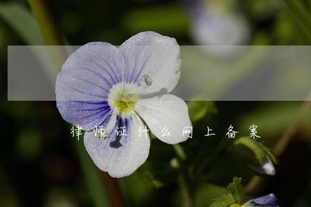 律师证什么网上备案 律师证什么网上备案