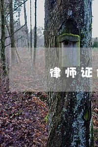 律师证件查询官方网站 律师证件查询官方网站