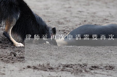 律师证再次申请需要再次面试吗 律师证再次申请需要再次面试吗