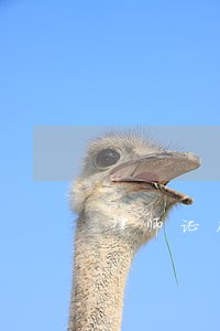 律师证几年不年审注销 律师证几年不年审注销