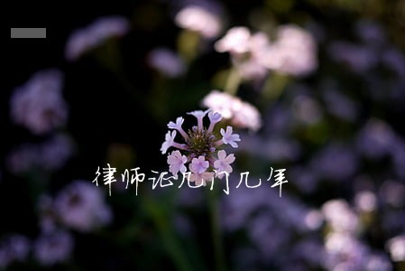 律师证几门几年 律师证几门几年