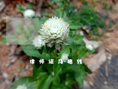 律师证及格线 律师证及格线