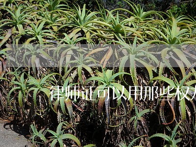 律师证可以用那些权力 律师证可以用那些权力