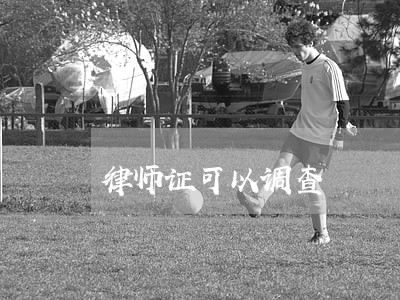 律师证可以调查 律师证可以调查