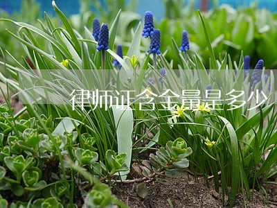 律师证含金量是多少 律师证含金量是多少