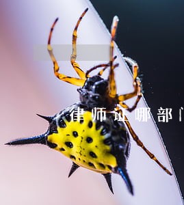 律师证哪部门发 律师证哪部门发