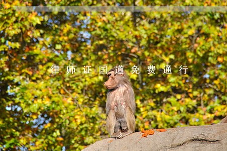 律师证国道免费通行 律师证国道免费通行