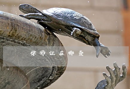 律师证在哪查 律师证在哪查