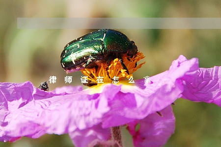 律师证在怎么拿 律师证在怎么拿