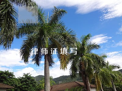 律师证填写 律师证填写