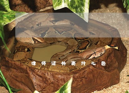 律师证外壳什么色 律师证外壳什么色