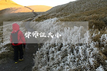 律师证大小 律师证大小