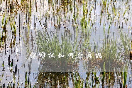 律师证如何查真假 律师证如何查真假