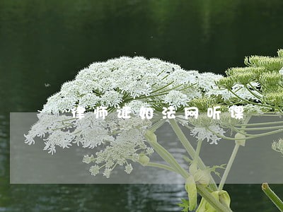 律师证如法网听课 律师证如法网听课