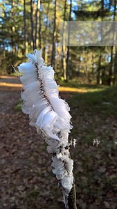 律师证审批多久 律师证审批多久