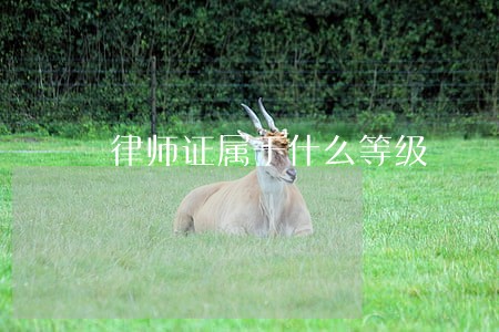 律师证属于什么等级 律师证属于什么等级