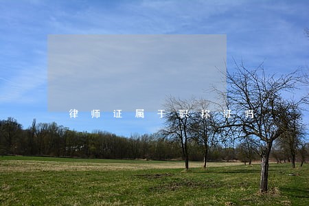 律师证属于职称证吗 律师证属于职称证吗