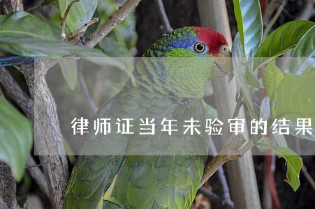 律师证当年未验审的结果是什么 律师证当年未验审的结果是什么
