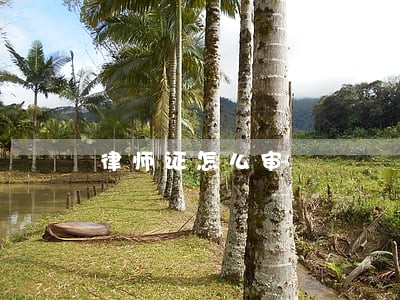 律师证怎么审 律师证怎么审